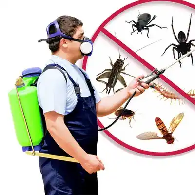 pest control Santa Clara